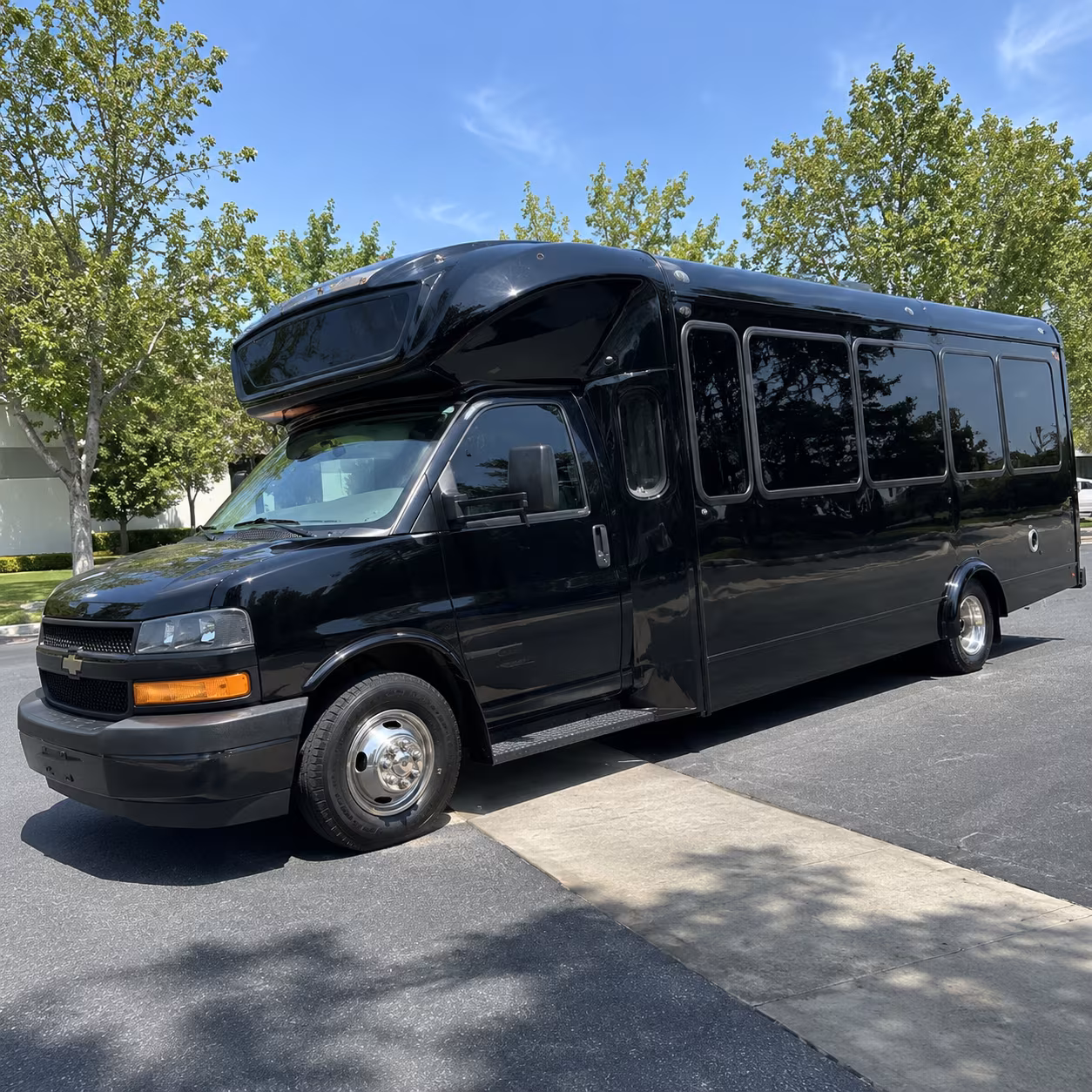 arcadia 15 passenger party bus