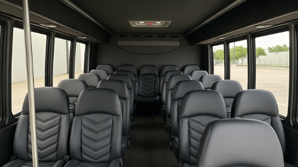 arcadia 18 passenger minibus inside