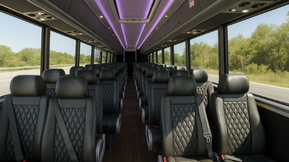 arcadia 20 passenger minibus inside